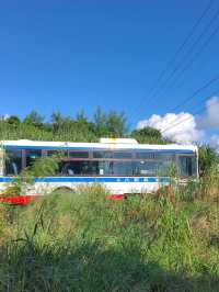 行程亮點｜鼓浪嶼號6天5夜攻略公開🚢