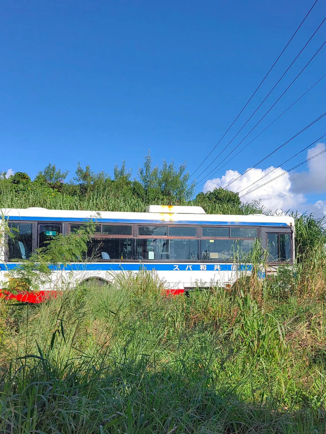 行程亮點｜鼓浪嶼號6天5夜攻略公開🚢