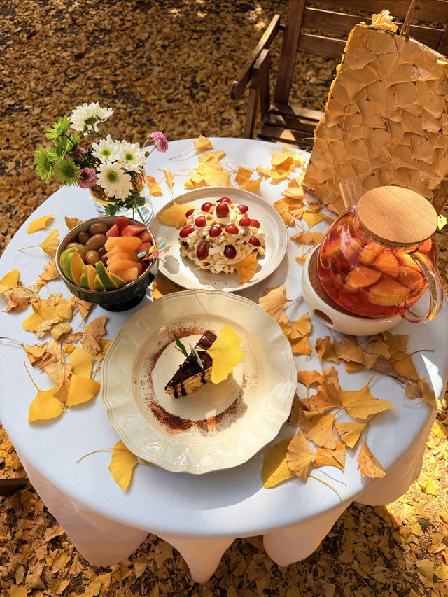 看了1000+麗江民宿,這家老錢風民宿成了我的白月光 看了1000+麗江民宿,這家老錢風民宿成了我的白月光