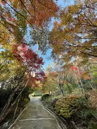 名古屋紅葉—白鳥庭園
