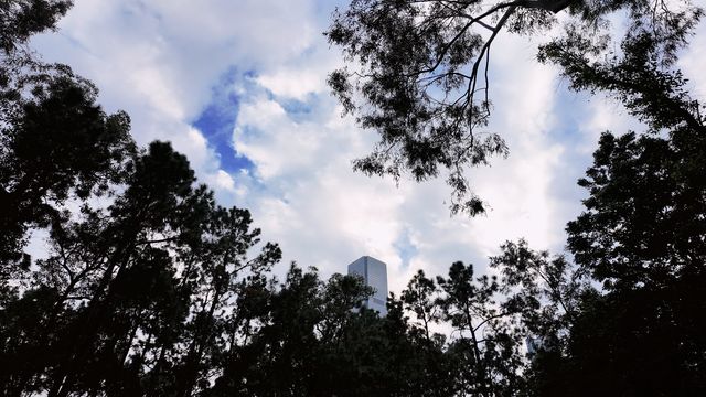 深圳筆架山輕徒步|山野漫遊靜聽風,一條路線打卡全精華! 深圳筆架山輕徒步|山野漫遊靜聽風,一條路線打卡全精華!