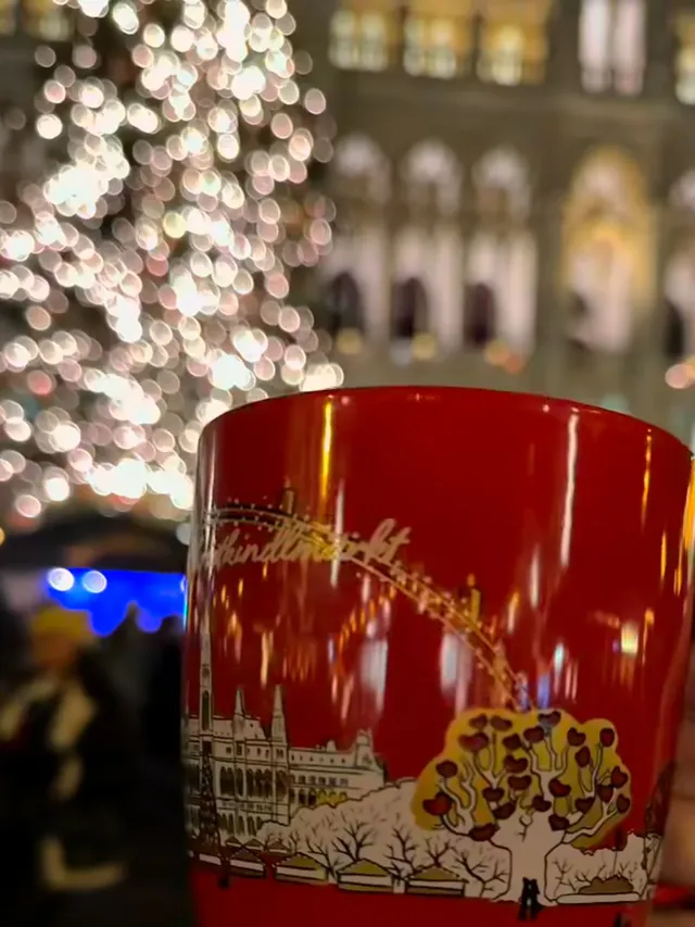 逛了歐洲一百多個聖誕市集的pick