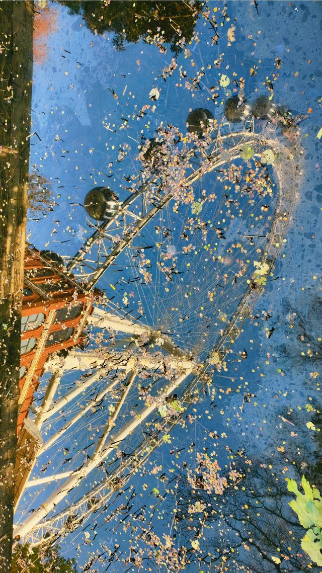 深秋限定合肥逍遙津的絕美金色童話 深秋限定合肥逍遙津的絕美金色童話