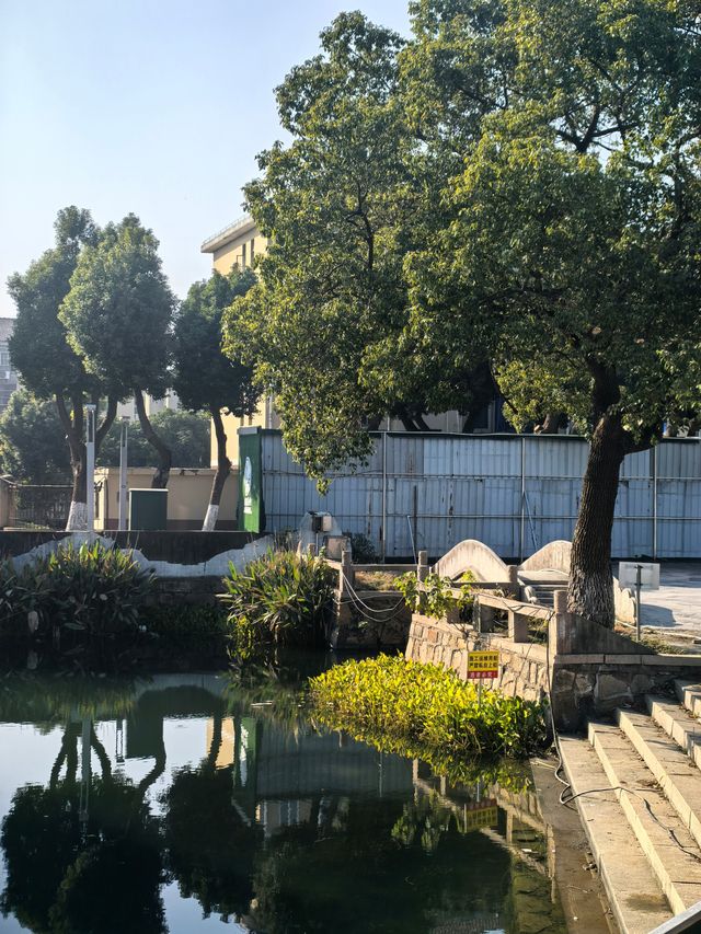 崑山澱山湖忻康公園:江南水鄉的城市秘境! 崑山澱山湖忻康公園:江南水鄉的城市秘境!