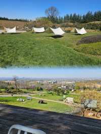 西安|周邊度假必去！住農場酒店、看落日夜景，露營超快樂