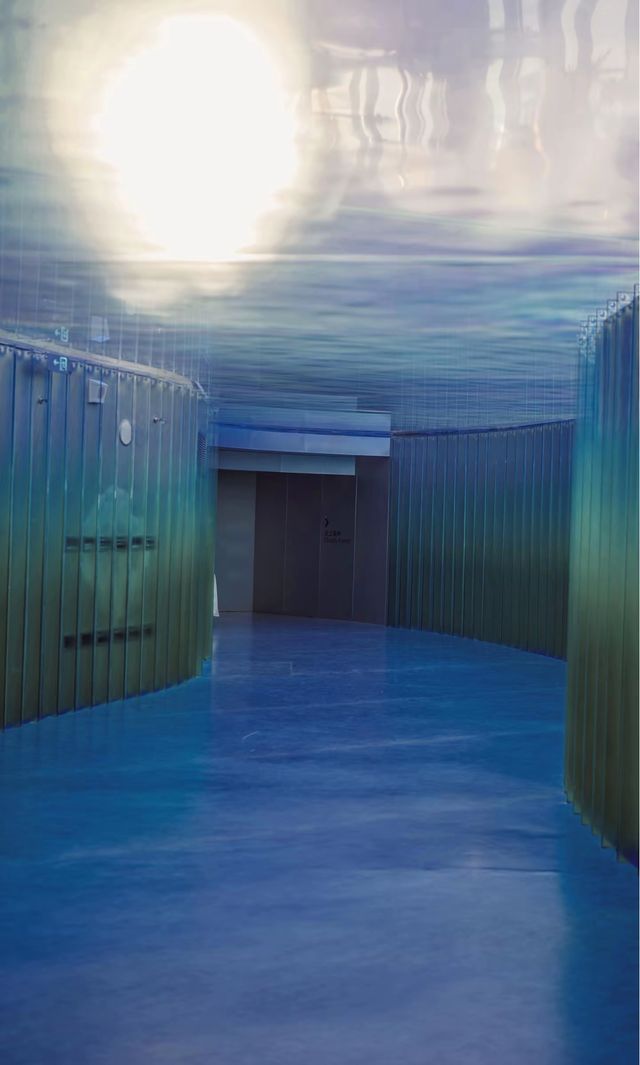 綠野仙蹤般治癒之旅