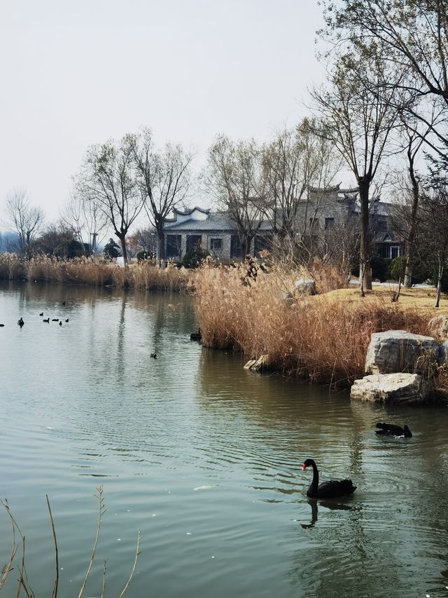 唐島灣濕地公園