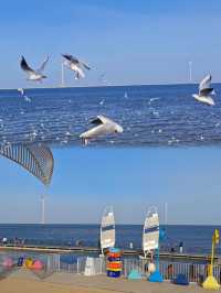 天津帶娃封神體驗!海上小火車追海鷗值哭