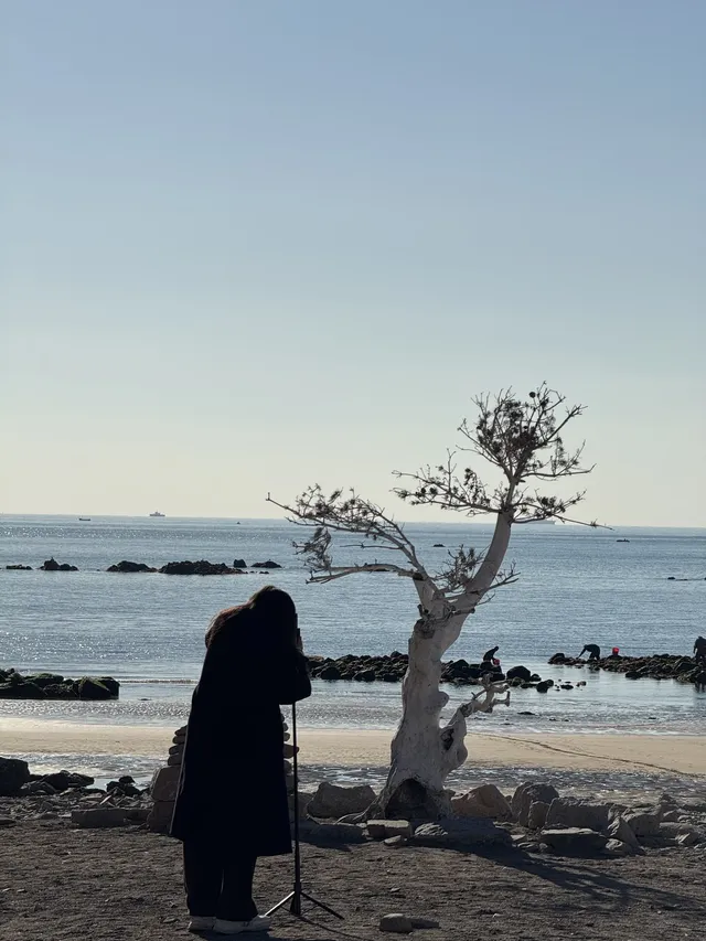 來青島一定不能錯過,這條sea walk路線!原圖 來青島一定不能錯過,這條sea walk路線!原圖