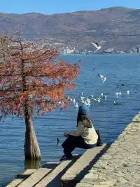 愛回收|來大理直接複製這條洱海一日遊路線!