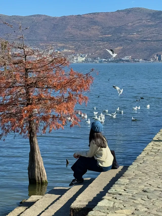 愛回收|來大理直接複製這條洱海一日遊路線! 愛回收|來大理直接複製這條洱海一日遊路線!