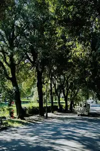 古羅馬建築的神秘與輝煌