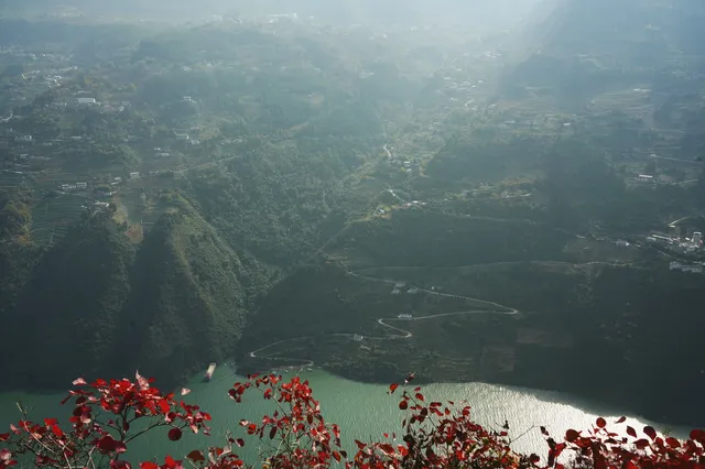 巫山龍脊看紅葉｜懶人零難度路線