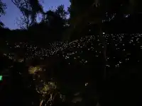 杭州2h直達！一個還在80年代的寶藏小鎮