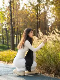 被問瘋的上海楓葉旋梯錯過真的等一年…