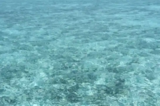 馬爾代夫 麗思卡爾頓選島成功