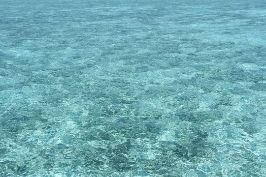 馬爾代夫 麗思卡爾頓選島成功