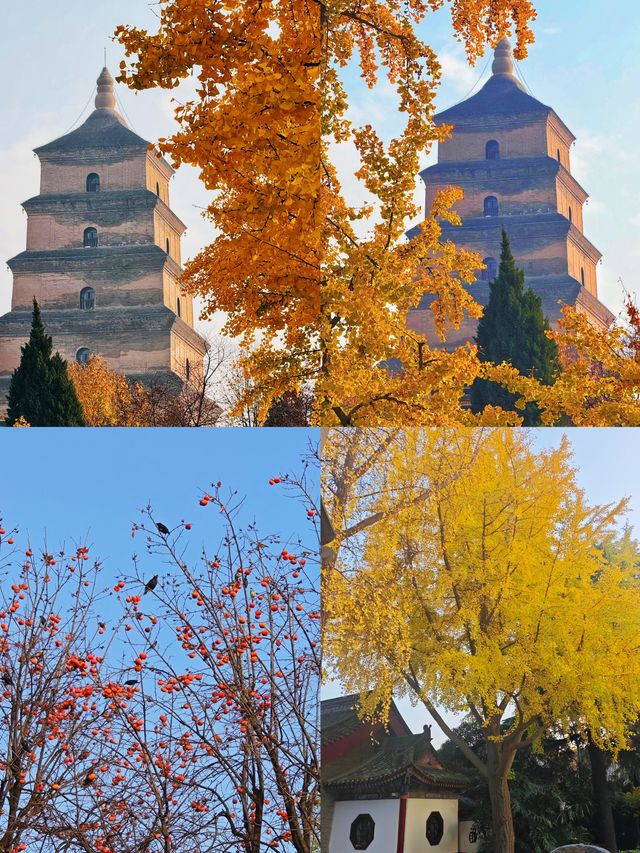 是誰還沒有去過大雁塔高鐵直達 是誰還沒有去過大雁塔高鐵直達