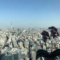 精緻豪華體驗住東京