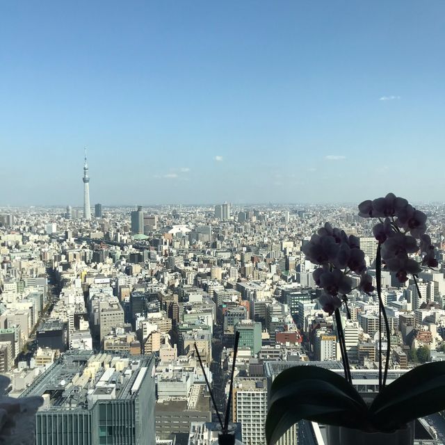 精緻豪華體驗住東京