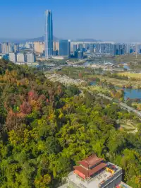 不用去皖南!溫嶺市區藏了個「秋日童話」