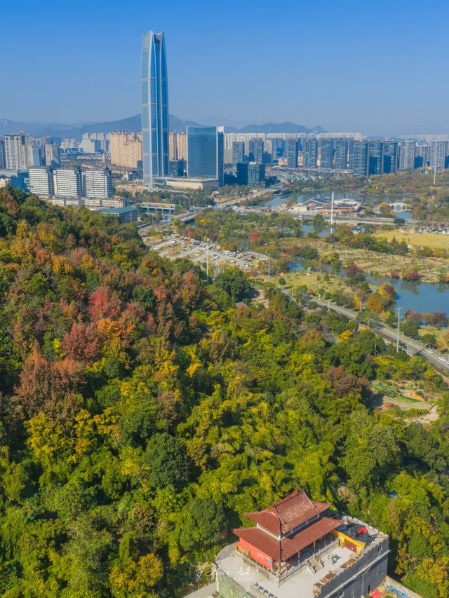 不用去皖南!溫嶺市區藏了個「秋日童話」 不用去皖南!溫嶺市區藏了個「秋日童話」
