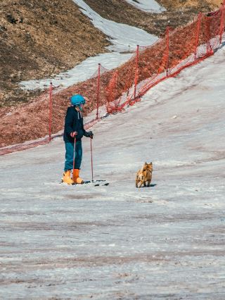 Adding a Splash of Color to Winter｜Details That Bring Snowy Landscapes to Life