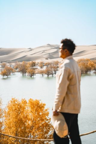 砂漠の中の水上ポプラ林！新疆フールーダオ封神観光ガイド