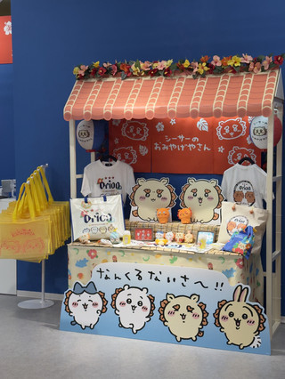 Okinawa | Complete Guide to AEON Mall Rycom