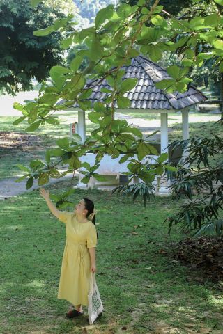 Penang Botanic Gardens: A Free Hidden Green Wonderland and Sunset at Penang Hill