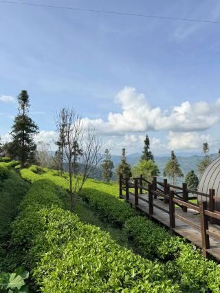 ｜ทริปชาชงปู่เอ๋อร์แบบช้าๆ