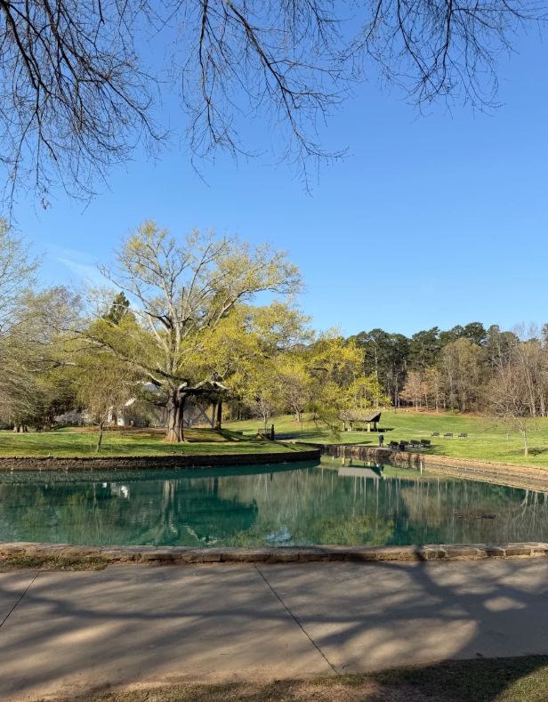 Freedom Park in Charlotte, a versatile leisure hidden gem within the city