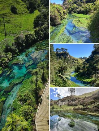 บลูสปริงส์ เกาะเหนือ นิวซีแลนด์ | บทความเดียวตอบทุกคำถามของคุณ
