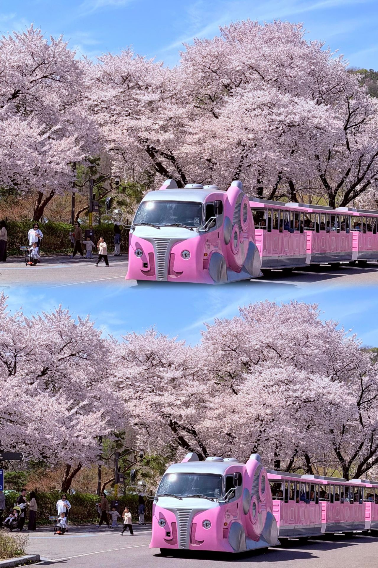 Jangan hanya mengenal Lotte! Aktivitas seru tersembunyi di Seoul Grand Park terungkap!