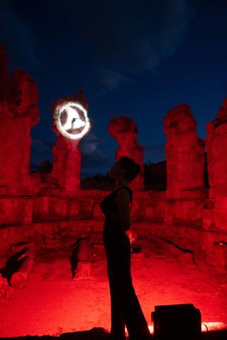 誰だろう、世界文化遺産を貸し切ったのは？