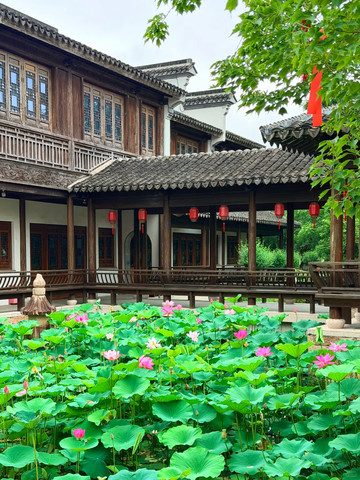 蘇州｜「石湖公園」の蓮の開花情報 。 | Trip.com 蘇州