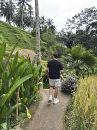 🌿 The Peaceful Side of Bali: Ubud Rice Fields, Rainy Evenings & A Stay Surrounded by Nature 🇮🇩