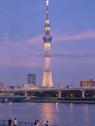 Must-Visit Spots in Kanto, Tokyo|Shibuya Crossing + Skytree Night View + Seasonal Blooms at Shinjuku Gyoen