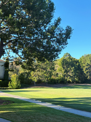 Pelican golf with ocean views near LA