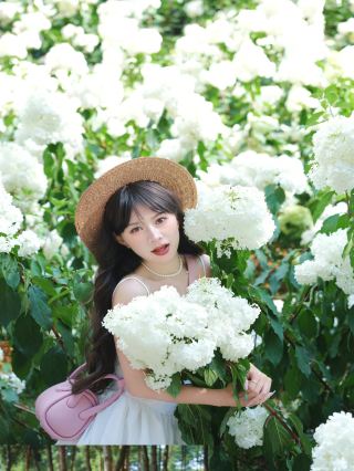 ฉันน้ำตาซึมถึงสองครั้งเมื่อได้เห็นทุ่งดอกไฮเดรนเจียสีฟ้าขาวอันงดงามในสวนเหม่ยหยวน! เป็นภาพฤดูร้อนที่สวยงามจริงๆ