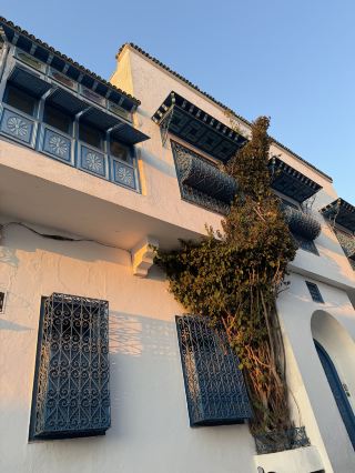 跳躍到地中海的另一端：我的突尼西亞之旅，穿梭於羅馬遺跡與在地市集之間 