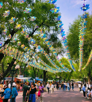 Hidden on the Songhua River in Harbin lies a 5A treasure: an island in the middle of the river