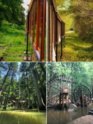 Heading to Xinyang for the National Day holiday? This 5-day, 4-night relaxed itinerary is amazing