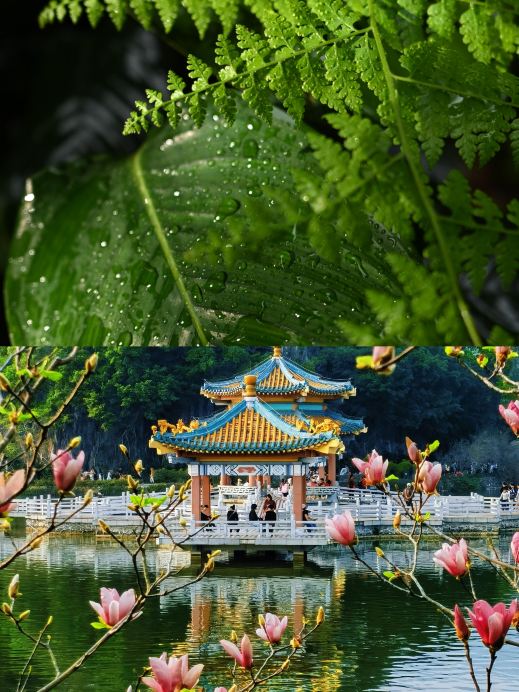 廣東唯一一個被嚴重低估的浪漫古鎮，大部分遊客都錯過