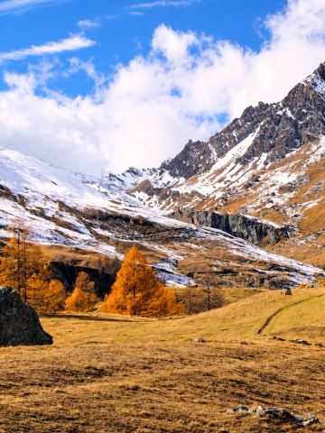 Autumn in Gran Paradiso National Park | Golden valleys and Alpine Ibex