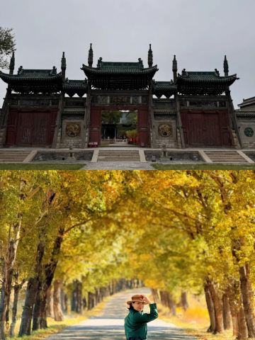 Hey everyone! Today I'm sharing a super niche autumn road trip route around Luya Mountain.