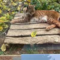 Huge zoo in Seoul
