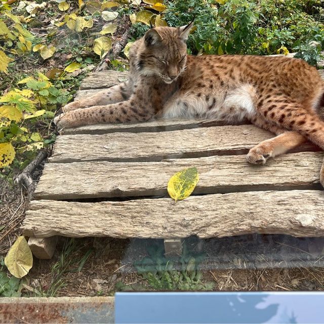 Huge zoo in Seoul