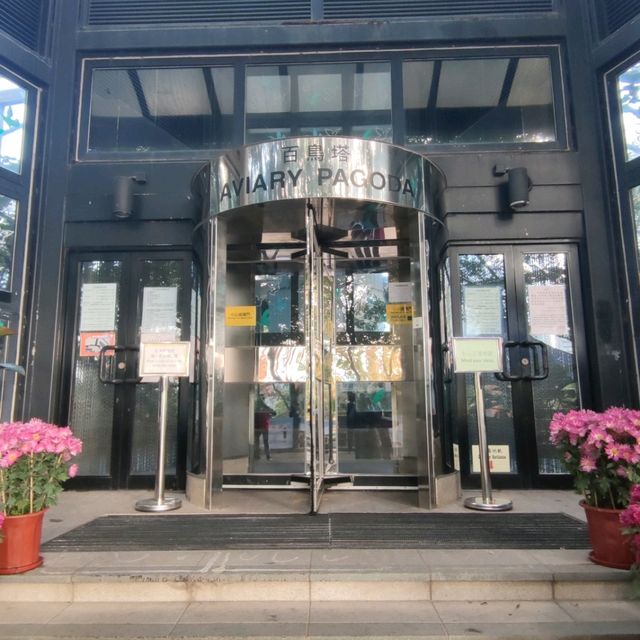 晨運緩跑~心曠神怡~花悅滿城~元朗公園