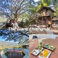 The Giant Chiangmai
